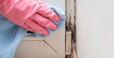 mold removal cost richmond va